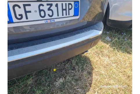 2021 Peugeot 2008, Dyzelinas